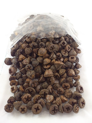 Eukalyptus clocks 1 kg.